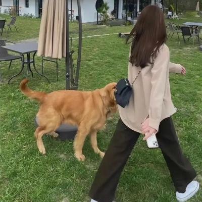 守护解放西